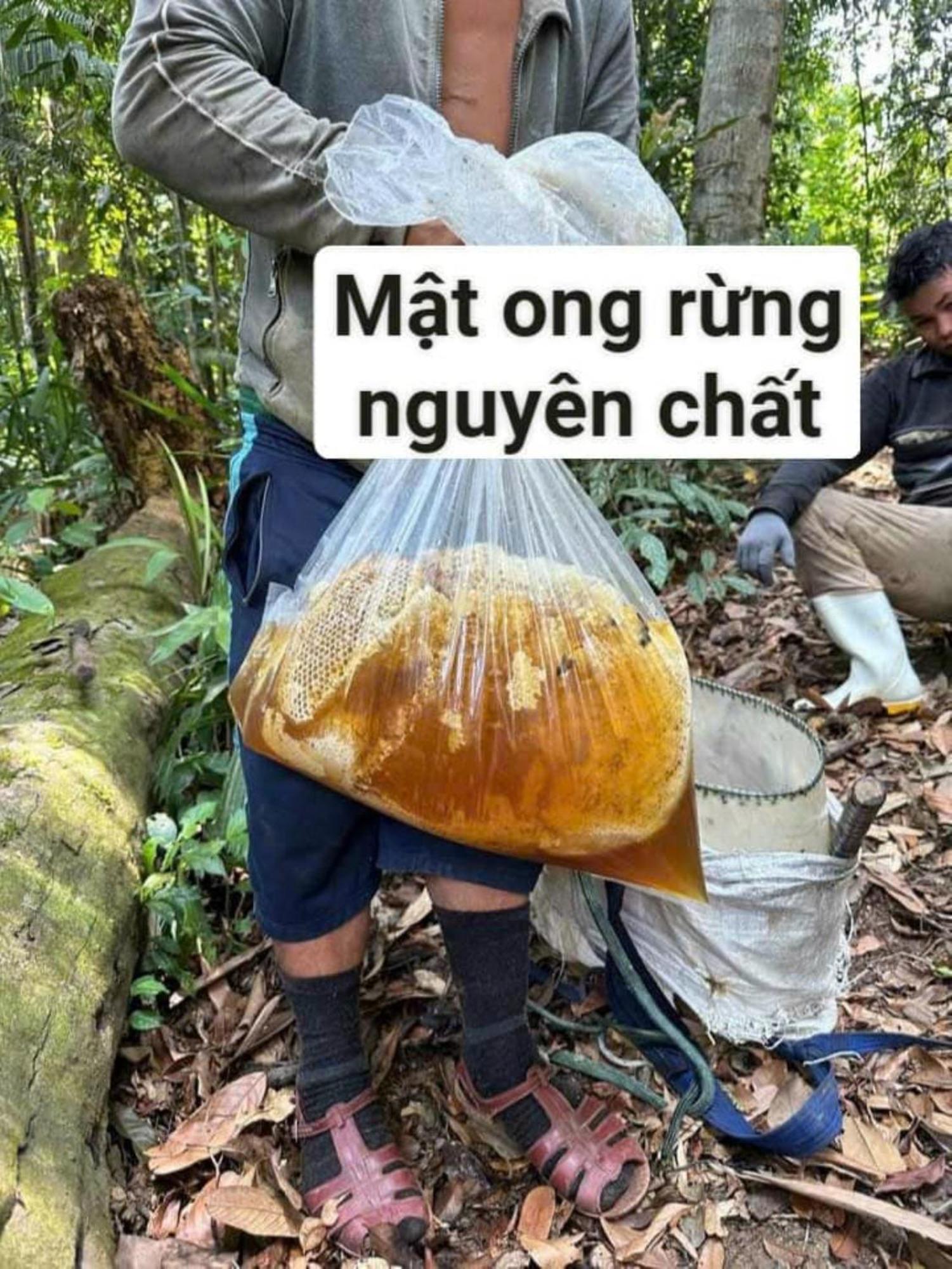 Homestay Ho Son - Thac Anor A Luoi Buitenkant foto