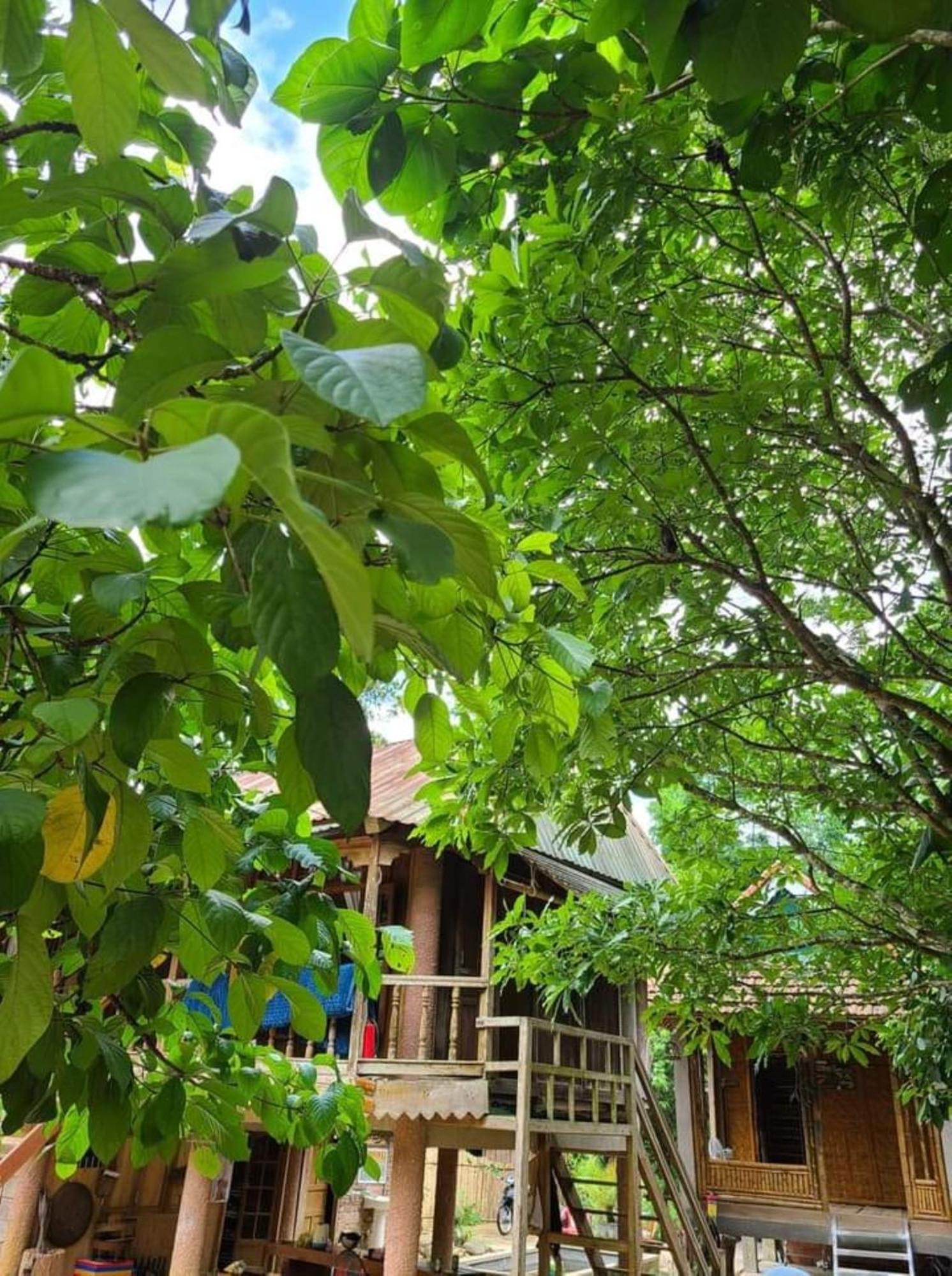 Homestay Ho Son - Thac Anor A Luoi Buitenkant foto