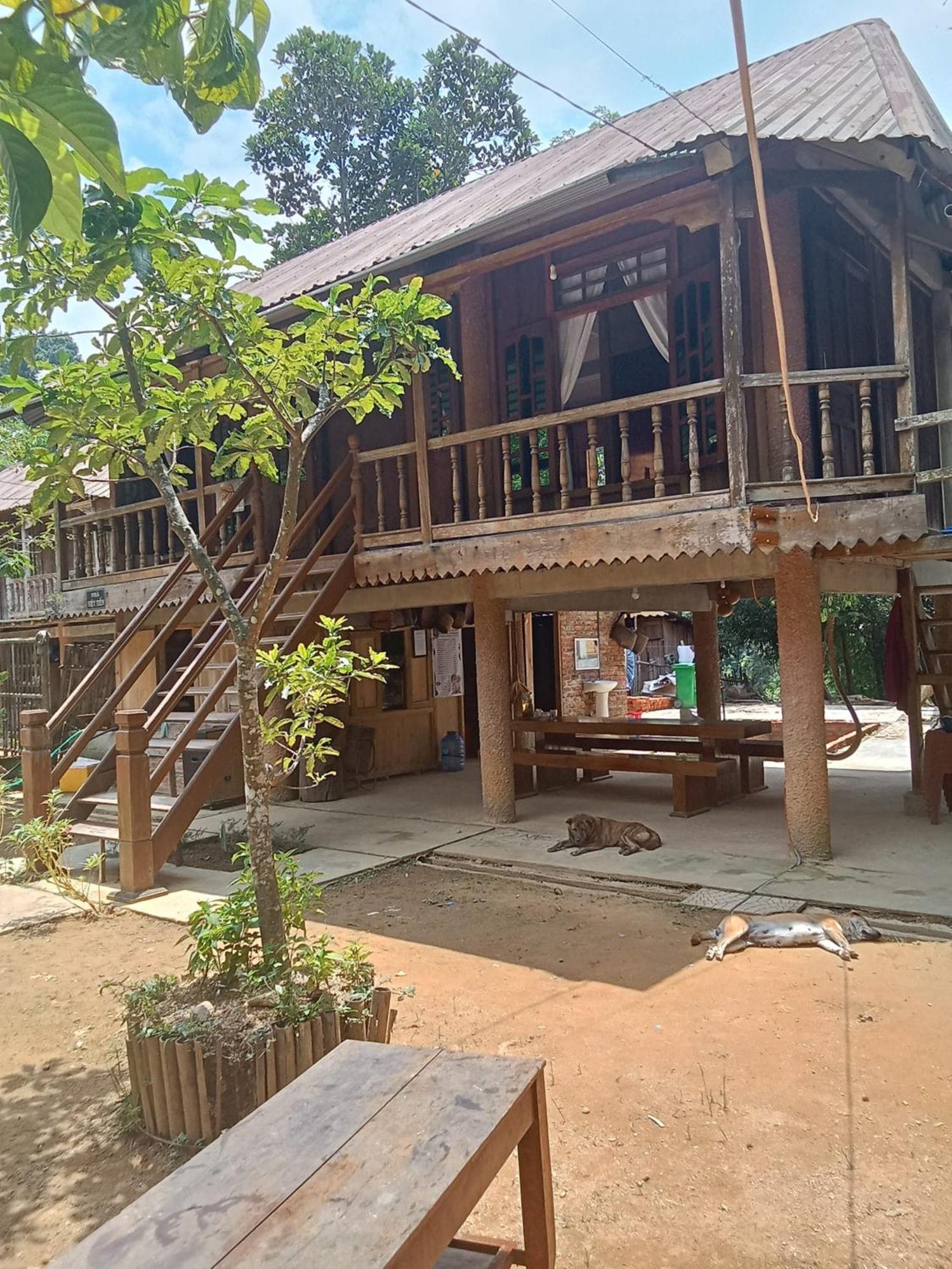 Homestay Ho Son - Thac Anor A Luoi Buitenkant foto