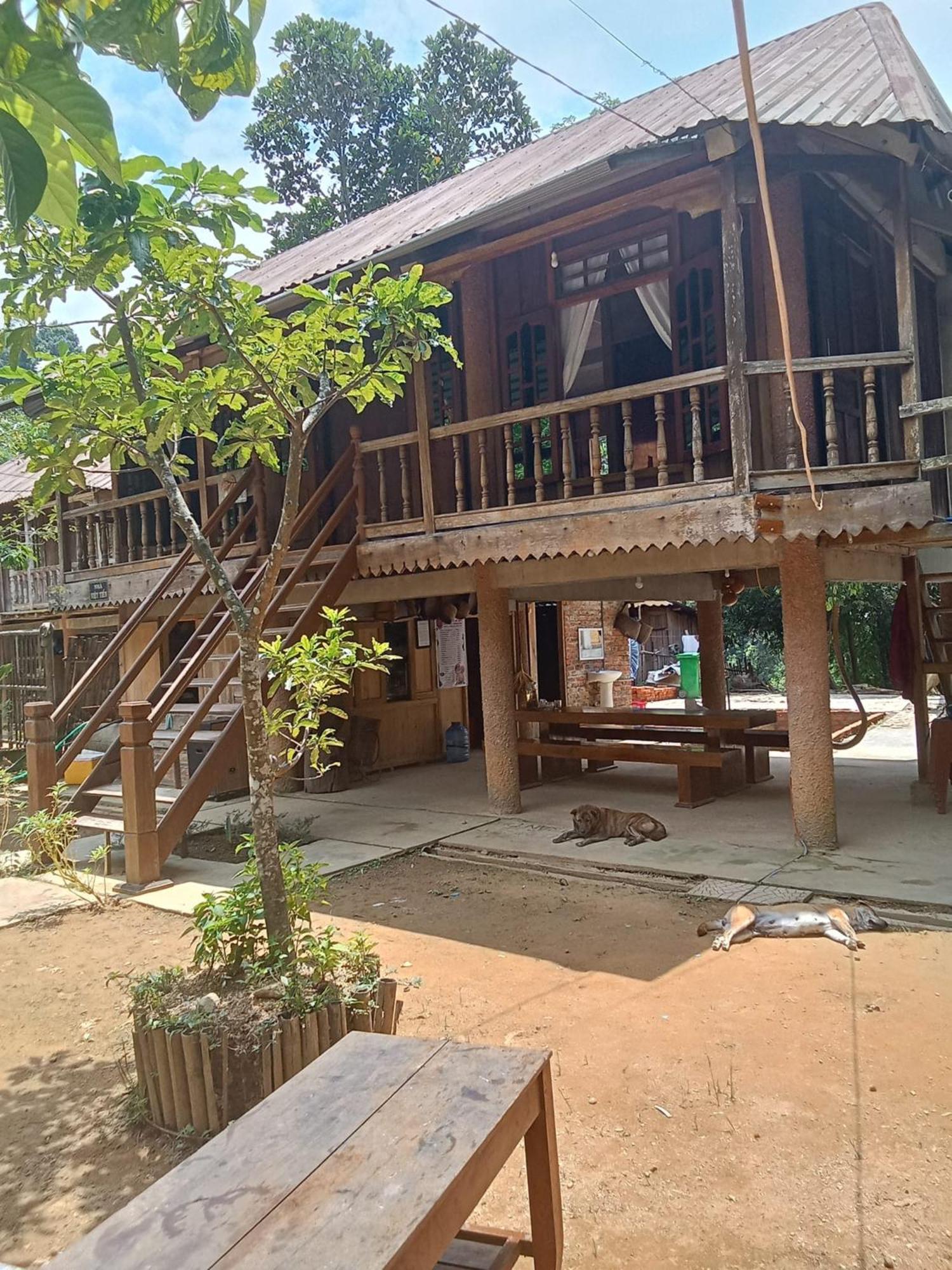 Homestay Ho Son - Thac Anor A Luoi Buitenkant foto